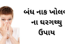 Bandh Naak kholvana upay in Gujarati - બંધ નાક ખોલવાના ઉપાય