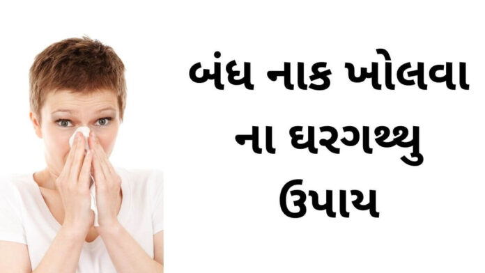Bandh Naak kholvana upay in Gujarati - બંધ નાક ખોલવાના ઉપાય