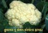 Fulavar na Fayda | ફૂલાવર નું સેવન કરવાના ફાયદા Fulavar na Fayda in Gujarati - cauliflower Health benefits in Gujarati - ફુલાવર ના ફાયદા