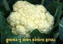 Fulavar na Fayda in Gujarati - cauliflower Health benefits in Gujarati - ફુલાવર ના ફાયદા