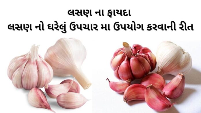 Lasan na Fayda In Gujarati - Garlic health benefits in Gujarati - લસણ ના ફાયદા - Lasan na gharelu upay