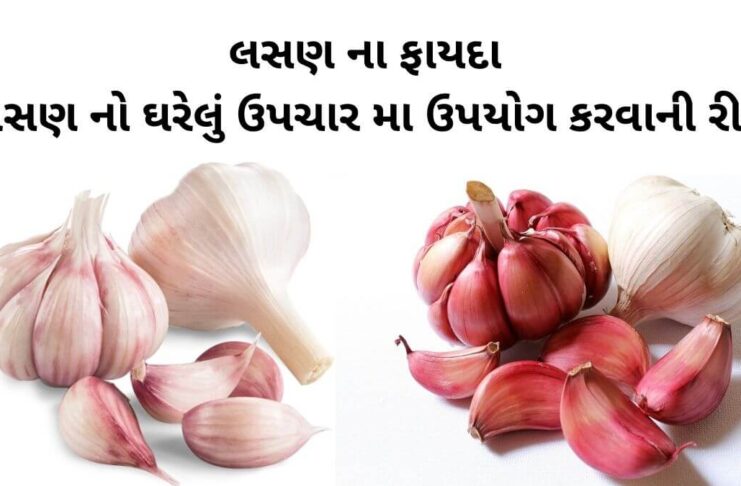 Lasan na Fayda In Gujarati - Garlic health benefits in Gujarati - લસણ ના ફાયદા - Lasan na gharelu upay