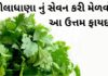 Health Benefits of Lila dhana - Lila dhana na fayda in Gujarati - લીલાધાણા ના ફાયદા - ધાણા ના ફાયદા