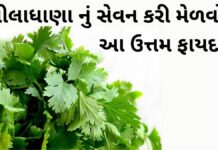 Health Benefits of Lila dhana - Lila dhana na fayda in Gujarati - લીલાધાણા ના ફાયદા - ધાણા ના ફાયદા