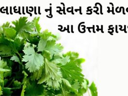 Health Benefits of Lila dhana - Lila dhana na fayda in Gujarati - લીલાધાણા ના ફાયદા - ધાણા ના ફાયદા