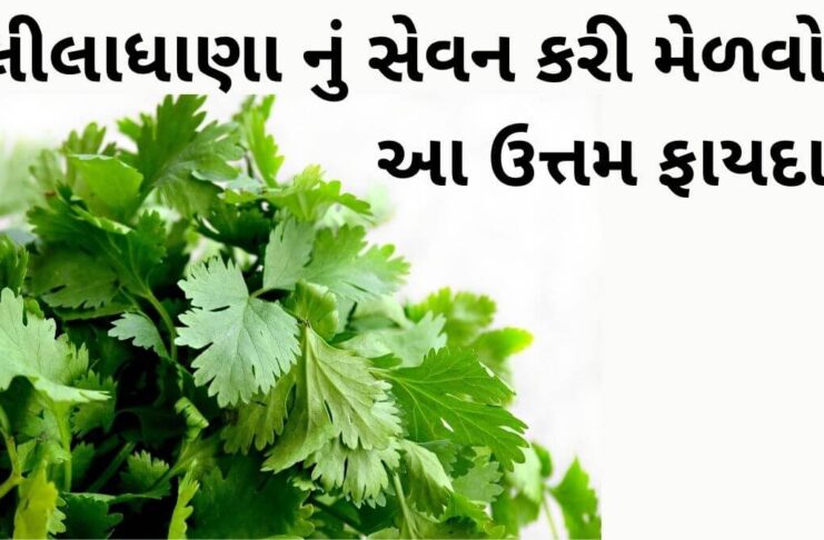 Health Benefits of Lila dhana - Lila dhana na fayda in Gujarati - લીલાધાણા ના ફાયદા - ધાણા ના ફાયદા