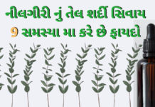Nilgiri tel fayda in Gujarati - નીલગીરી ના તેલ ના ફાયદા - benefist of Nilgiri tel in Gujarati