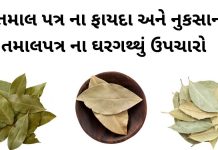 Tamal Patra na fayda in Gujarati - Bay Leaf benefits in Gujarati - તમાલ પત્ર ના ફાયદા