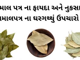 Tamal Patra na fayda in Gujarati - Bay Leaf benefits in Gujarati - તમાલ પત્ર ના ફાયદા