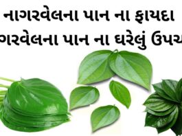 nagarvel na pan na fayda - nagarvel pan benefits in Gujarati - નાગરવેલ પાન ફાયદા