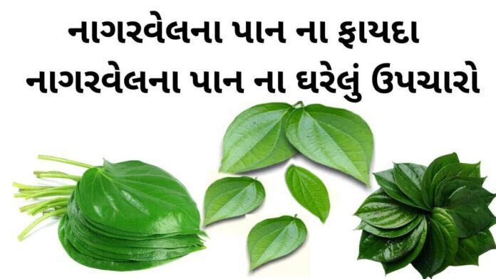 nagarvel na pan na fayda - nagarvel pan benefits in Gujarati - નાગરવેલ પાન ફાયદા