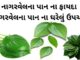 nagarvel na pan na fayda - nagarvel pan benefits in Gujarati - નાગરવેલ પાન ફાયદા