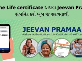 online register Online Life certificate via Umang Application and Jeevan Praman Application