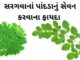 સરગવાના પાન ના ફાયદા sargava na pan na fayda in Gujarati Drumstick leaves Benefits in Gujarati - સરગવાના પાન ના ફાયદા