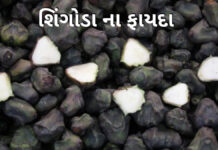 singhoda fayda in Gujarati - શિંગોડા ના ફાયદા
