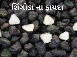 singhoda fayda in Gujarati - શિંગોડા ના ફાયદા