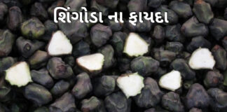 singhoda fayda in Gujarati - શિંગોડા ના ફાયદા
