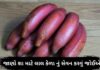 શા માટે કેળા લાલ હોય છે? તેમજ લાલ કેળા નું સેવન કરવાથી થતા ફાયદા Lal kela na fayda in Gujarati - લાલ કેળા ના ફાયદા - Red Banana Health benefits in Gujarati