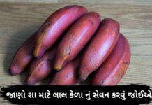 Lal kela na fayda in Gujarati - લાલ કેળા ના ફાયદા - Red Banana Health benefits in Gujarati