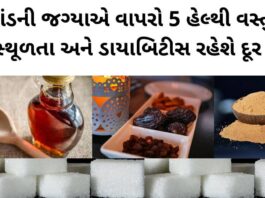 Sugar alternative Food you can use for healthy Lifestyle - ખાંડની જગ્યાએ આ વાપરો
