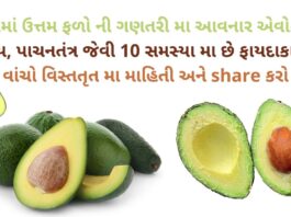 avocado na Fayda - avocado benefits in Gujarati - health benefits of avocado in Gujarati - advantages and disadvantages of avocado in Gujarati - એવોકાડો ના ફાયદા