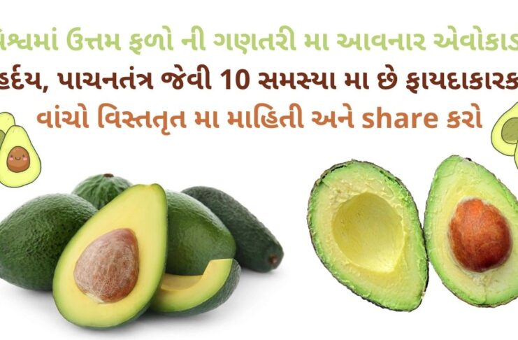 avocado na Fayda - avocado benefits in Gujarati - health benefits of avocado in Gujarati - advantages and disadvantages of avocado in Gujarati - એવોકાડો ના ફાયદા
