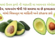 એવોકાડો ના ફાયદા | avocado na Fayda | avocado benefits in gujarati avocado na Fayda - avocado benefits in Gujarati - health benefits of avocado in Gujarati - advantages and disadvantages of avocado in Gujarati - એવોકાડો ના ફાયદા