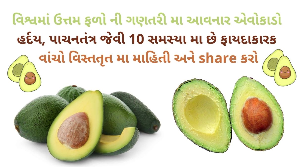 એવોકાડો ના ફાયદા avocado na Fayda avocado benefits in gujarati