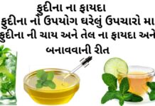 ફુદીના ના ફાયદા - ફુદીના ની ચાય ના ફાયદા - ફુદીના નો ઉપયોગ ઘરેલું ઉપચારો મા - ફુદીના ના તેલ ના ફાયદાઓ - fudina na fayda - pudina na fayda in Gujarati