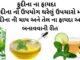ફુદીના ના ફાયદા | ફુદીના નો ઉપયોગ ઘરેલું ઉપચાર મા | ફુદીના ના તેલ ના ફાયદાઓ ફુદીના ના ફાયદા - ફુદીના ની ચાય ના ફાયદા - ફુદીના નો ઉપયોગ ઘરેલું ઉપચારો મા - ફુદીના ના તેલ ના ફાયદાઓ - fudina na fayda - pudina na fayda in Gujarati