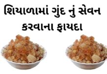 gund na fayda in Gujarati - ગુંદ ના ફાયદા - Gund na fayda
