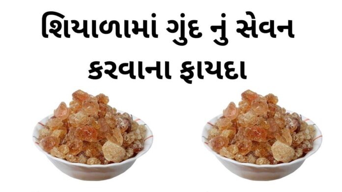 gund na fayda in Gujarati - ગુંદ ના ફાયદા - Gund na fayda