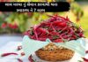 લાલ મરચા નું સેવાન કરવાથી થતા સ્વાસ્થ્ય ને 7 લાભ – lal marcha lal marcha na fayda in Gujarati - red chili health benefits in Gujarati - લાલ મરચા ના ફાયદા
