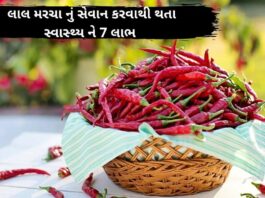 lal marcha na fayda in Gujarati - red chili health benefits in Gujarati - લાલ મરચા ના ફાયદા
