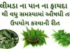 limda na pan na fayda in Gujarati - લીમડા ના પાન ના ફાયદા - neem leaves benefits in Gujarati – લીમડા ના પાન ના ઔષધીય પ્રયોગો – લીમડા ના પાન નો ઉપયોગ