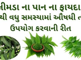 limda na pan na fayda in Gujarati - લીમડા ના પાન ના ફાયદા - neem leaves benefits in Gujarati – લીમડા ના પાન ના ઔષધીય પ્રયોગો – લીમડા ના પાન નો ઉપયોગ