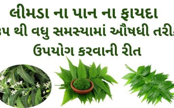 limda na pan na fayda in Gujarati - લીમડા ના પાન ના ફાયદા - neem leaves benefits in Gujarati – લીમડા ના પાન ના ઔષધીય પ્રયોગો – લીમડા ના પાન નો ઉપયોગ