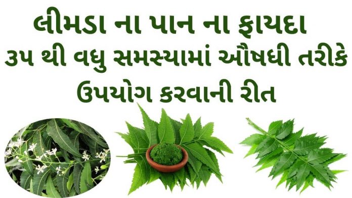 limda na pan na fayda in Gujarati - લીમડા ના પાન ના ફાયદા - neem leaves benefits in Gujarati – લીમડા ના પાન ના ઔષધીય પ્રયોગો – લીમડા ના પાન નો ઉપયોગ