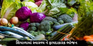 shiyada ma swasthy ne faydakarak bhojan temaj ketlik vastu nu sevan tadvu - શિયાળા નો ખોરાક જે તમારા સ્વાસ્થ્ય ને ફાયદાકારક છે