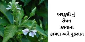 Ardusi na fayda in Gujarati - અરડુસી ના ફાયદા - ardusi na faida