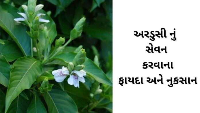 Ardusi na fayda in Gujarati - અરડુસી ના ફાયદા - ardusi na faida
