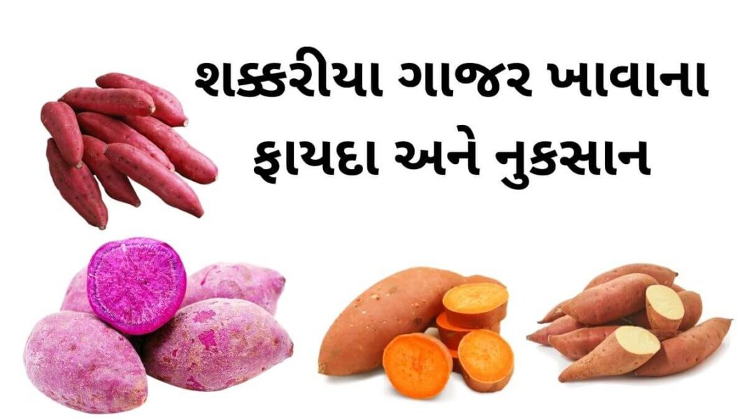 શક્કરીયા ગાજર ખાવાના 8 ફાયદા અને નુકસાન Sweet potato benefits in Gujarati