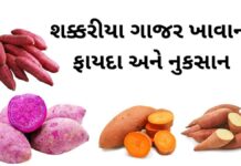 Sweet potato benefits in Gujarati - શક્કરીયા ગાજર ખાવાના ફાયદા