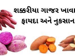 Sweet potato benefits in Gujarati - શક્કરીયા ગાજર ખાવાના ફાયદા