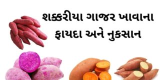 Sweet potato benefits in Gujarati - શક્કરીયા ગાજર ખાવાના ફાયદા