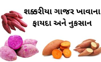 Sweet potato benefits in Gujarati - શક્કરીયા ગાજર ખાવાના ફાયદા