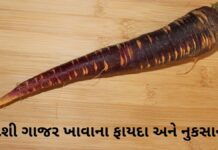 દેશી ગાજર – કાળા ગાજર ખાવાના ફાયદા અને નુકસાન | Deshi gajar na Fayda black carrot benefits in Gujarati - deshi gajar na fayda - દેશી ગાજર ના ફાયદા
