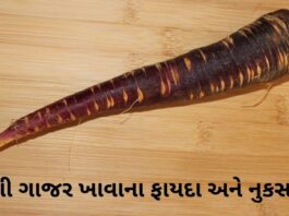 black carrot benefits in Gujarati - deshi gajar na fayda - દેશી ગાજર ના ફાયદા
