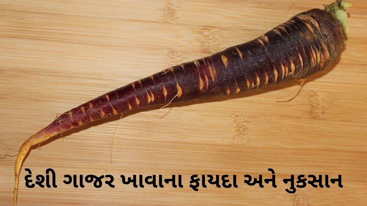 black carrot benefits in Gujarati - deshi gajar na fayda - દેશી ગાજર ના ફાયદા