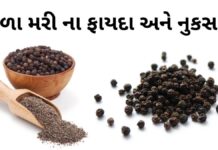 black pepper benefits in Gujarati - કાળા મરી ના ફાયદા - કાળા મરી ખાવાના ફાયદા - mari na fayda in gujarati - mari khavana fayda - કાળા મરીનો ઉપયોગ